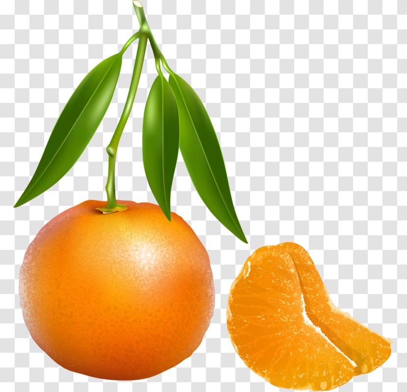Tangerine Mandarin Orange Clip Art - Clementine Transparent PNG