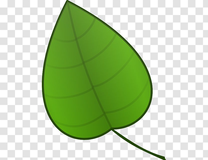 Leaf Clip Art - Acorn Forest Transparent PNG