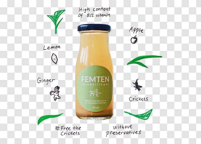 Juice Tea Mate Drink Insect Transparent PNG