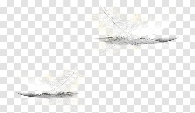 Black And White Grey Pattern - Computer - Floating Feather Transparent PNG
