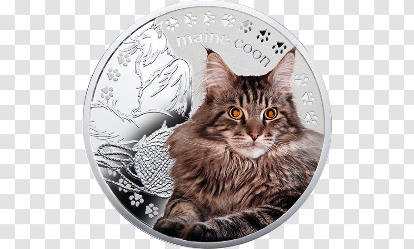 Maine Coon Bengal Cat Siamese Norwegian Forest Dragon Li - Whiskers Transparent PNG