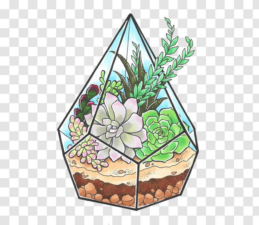 Succulents And Cactus Cactaceae Succulent Plant Header - Tree - Cartoon Transparent PNG