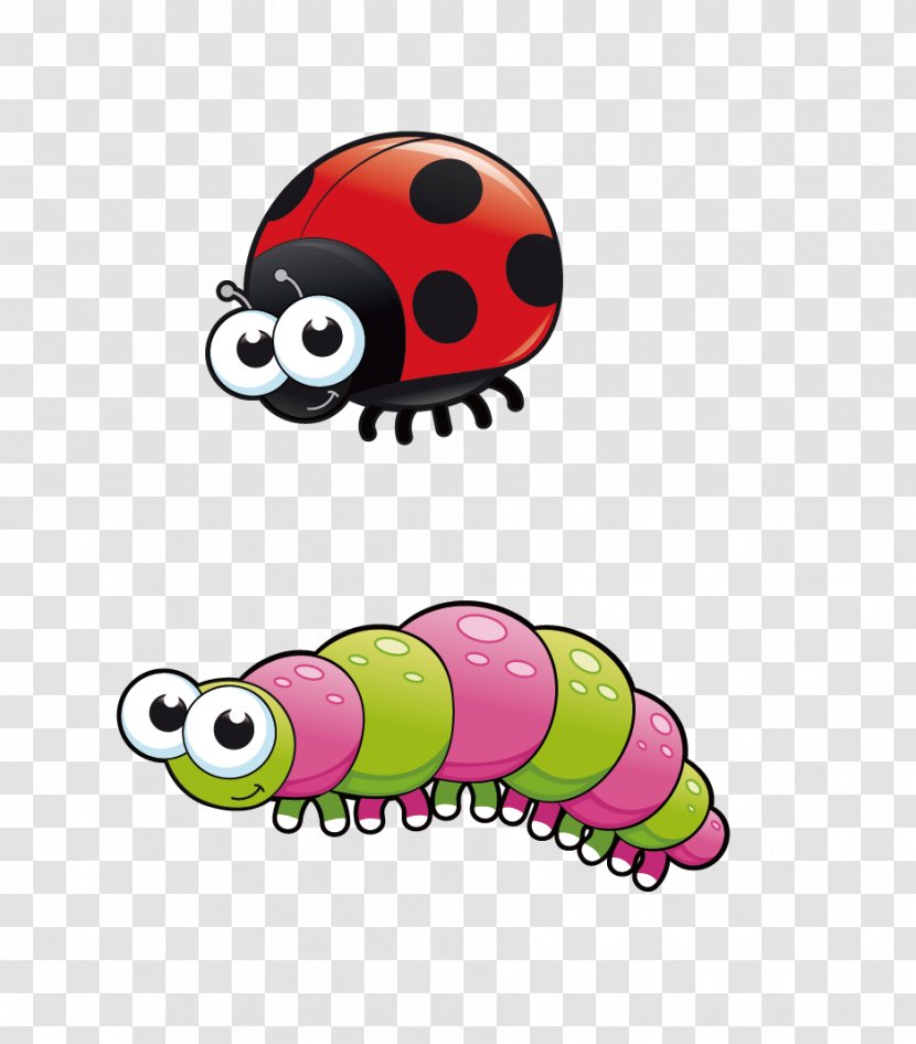 Insect Drawing Cartoon Clip Art - Ladybug Transparent PNG