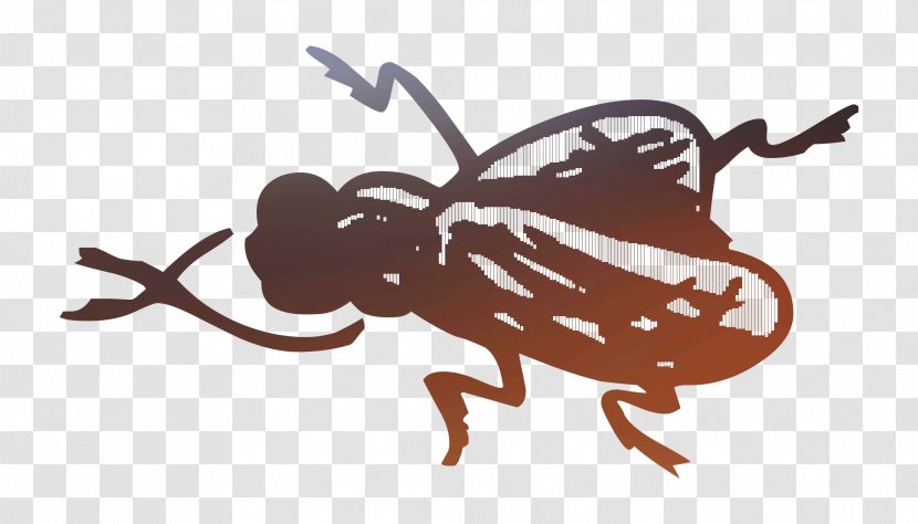 Insect Illustration Cartoon Pollinator Pest - Invertebrate - Membranewinged Transparent PNG