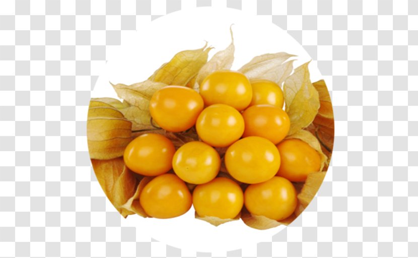 Peruvian Groundcherry Gooseberry Kiwifruit - Chinese Lantern - Amla Transparent PNG