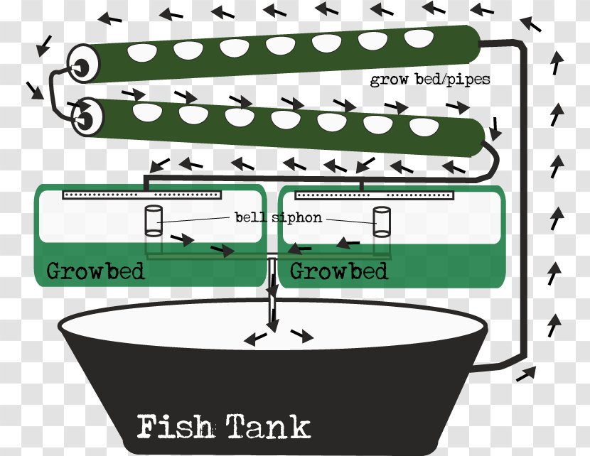 Aquaponics Ebb And Flow Hydroponics Gravity Feed Siphon - Silhouette - Lettuces Transparent PNG
