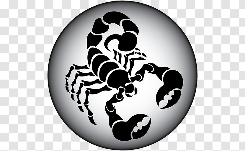 Scorpion Clip Art - Logo Transparent PNG