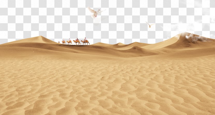 Sahara Erg Sand - Desert - Sandy Beach Transparent PNG