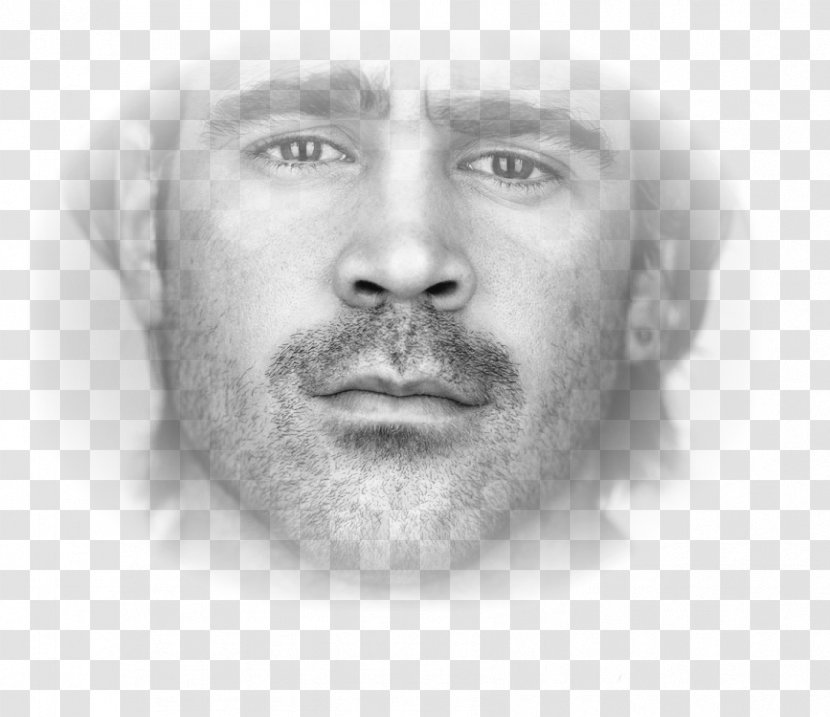 Colin Farrell Ireland Minority Report Actor Photography - Drawing Transparent PNG