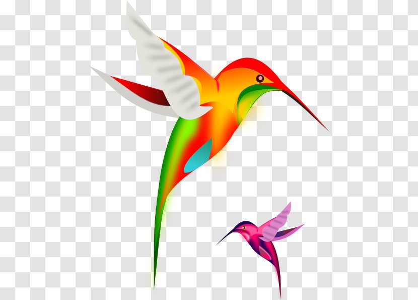 Ruby-throated Hummingbird Clip Art - Fauna - Animated Bird Cliparts Transparent PNG