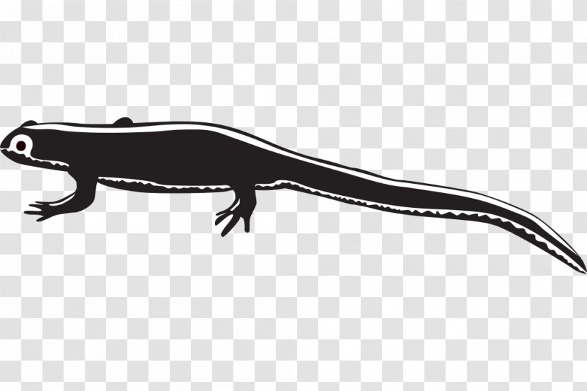 Newt Gecko Clip Art - Scaled Reptile - Clipart Transparent PNG