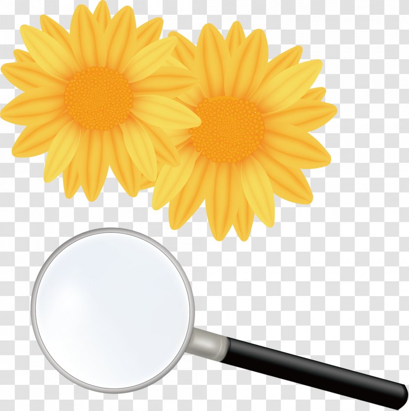 Flower Royalty-free Shutterstock - Stock Photography - Magnifying Glass Vector Element Transparent PNG