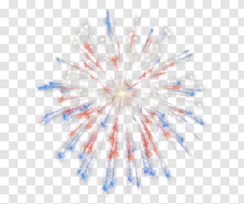 Fireworks Independence Day - Symmetry Transparent PNG