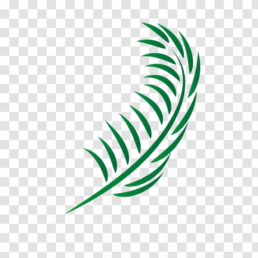 Leaf Euclidean Vector - Palm Leaves Transparent PNG