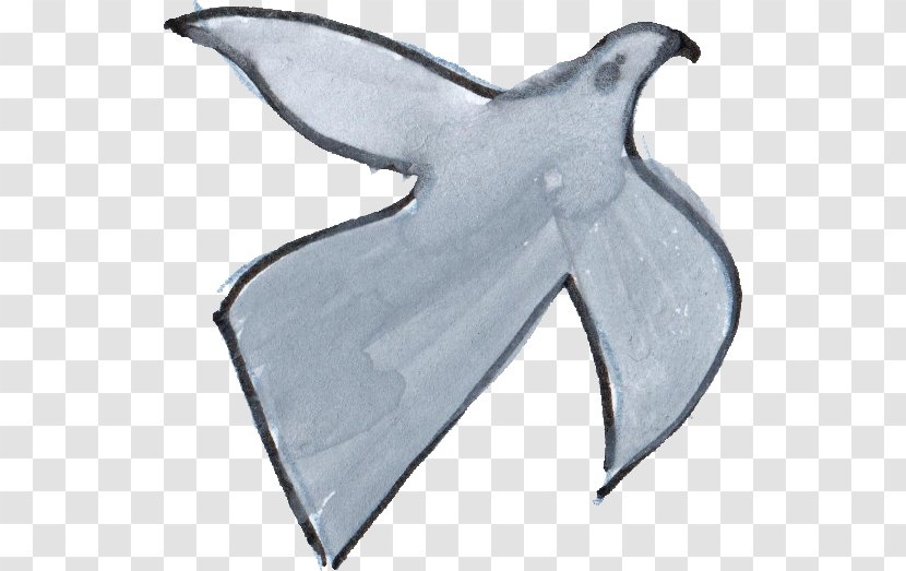 Drawing Doodle Bird Transparent PNG