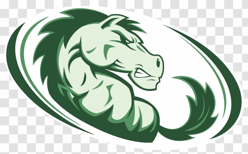 Strongsville High School Berea National Secondary Midview - Varsity Team Transparent PNG