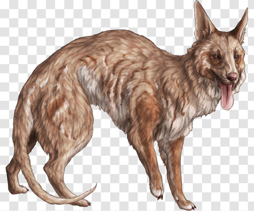 Dog Breed Fur Wildlife Transparent PNG