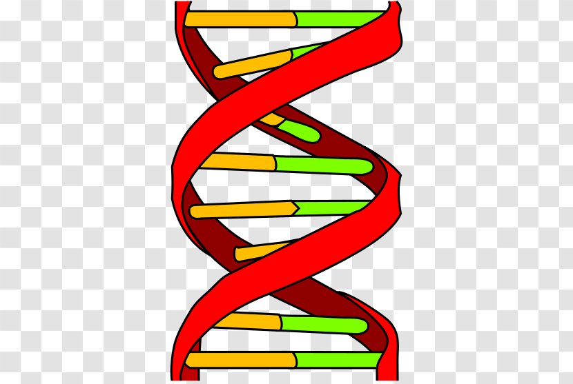 DNA Profiling Genetics Genetic Testing Transparent PNG