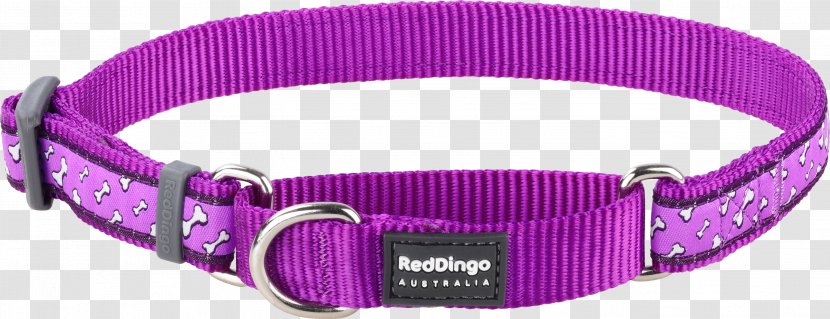 Dog Collar Dingo Martingale Transparent PNG