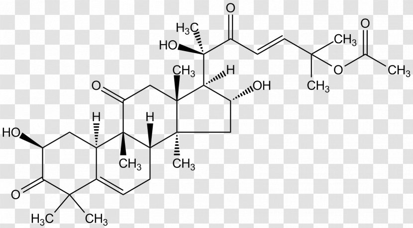 Cortisone Cortisol Chemistry Glucocorticoid Cucurbitaceae - Steroid - Anticancer Transparent PNG