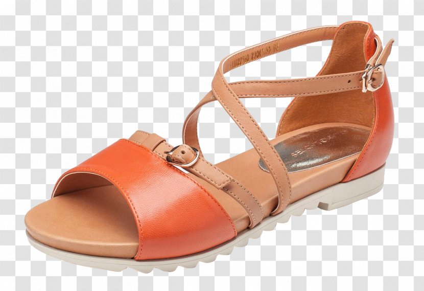 Sandal Shoe Designer - Frying - Orange Sandals Transparent PNG