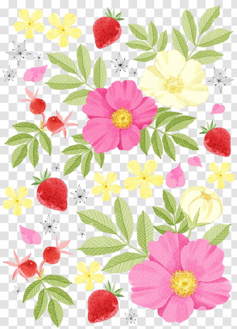 Watercolor Painting Drawing Illustration - Dahlia - Flowers Strawberry Decorative Pattern Material Transparent PNG