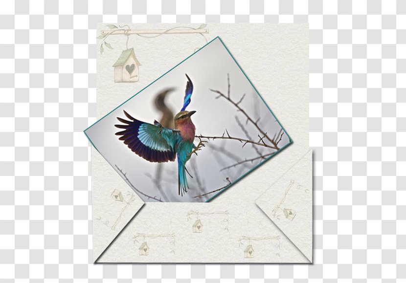 Book Parchment Writing Feather - Inclusive Transparent PNG