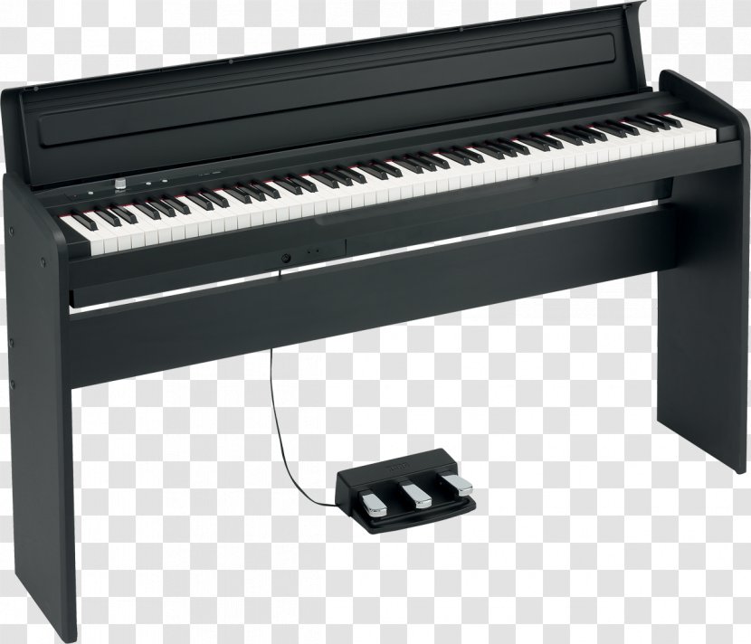 KORG LP-180 Digital Piano Keyboard LP-380 Korg B1 - Silhouette Transparent PNG