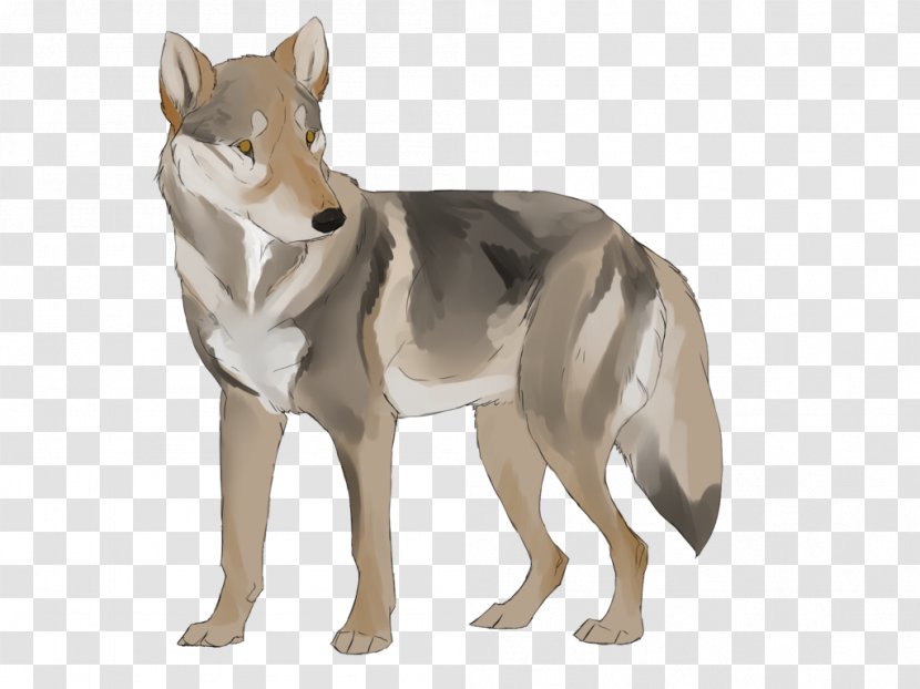 Czechoslovakian Wolfdog Saarloos Coyote Dog Breed Red Wolf - Fashion Personalized Fruit Shop Transparent PNG