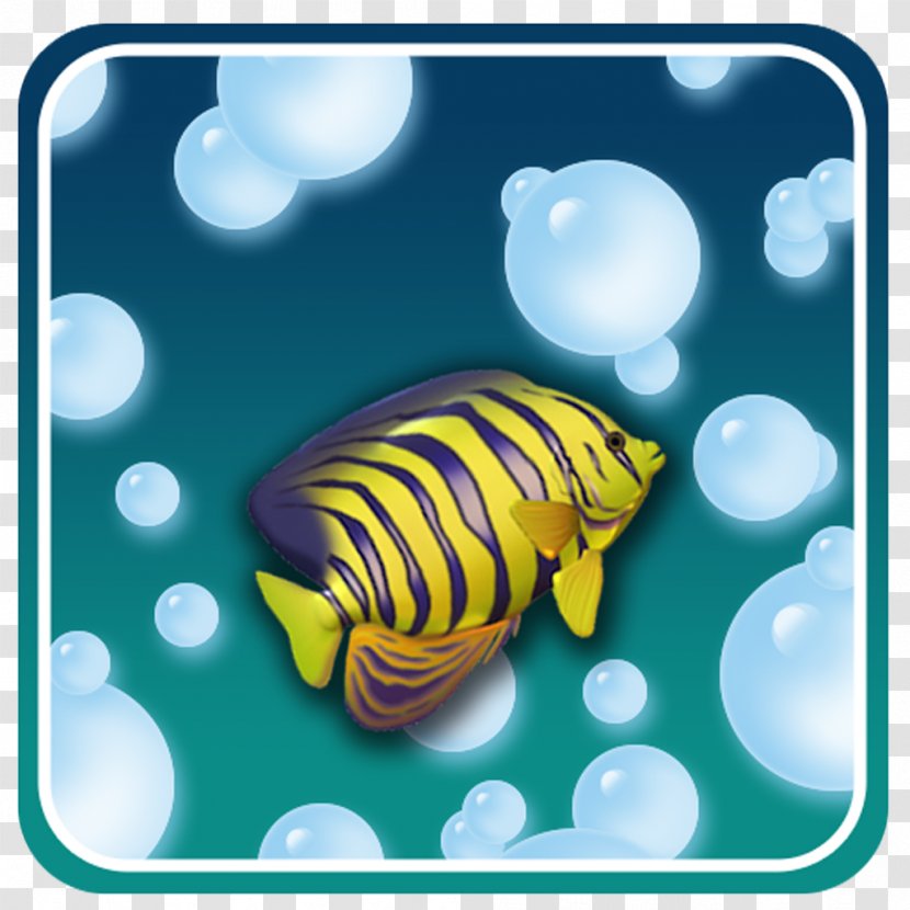 Insect Marine Biology Pollinator - Yellow Transparent PNG