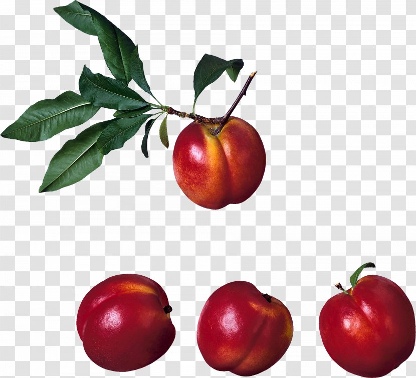 Peach Barbados Cherry Fruit - Natural Foods - Image Transparent PNG