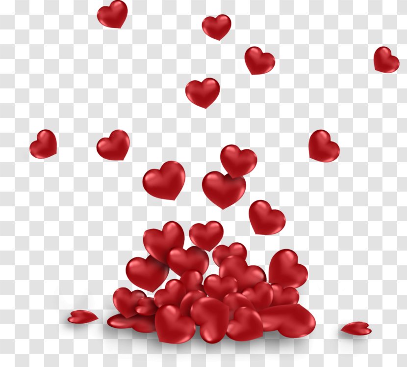 Valentines Day Heart - Plant - Superfruit Pink Peppercorn Transparent PNG