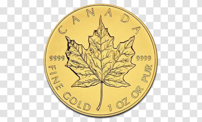 Vienna Philharmonic Bullion Coin Canadian Gold Maple Leaf - Tree - Mint Identification Transparent PNG