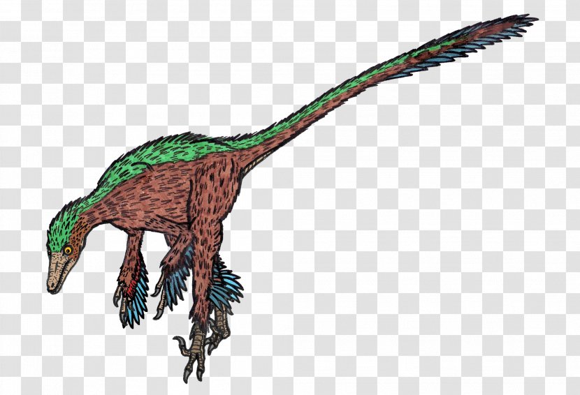 Troodontidae Velociraptor Dinosaur Utahraptor - Reptile Transparent PNG