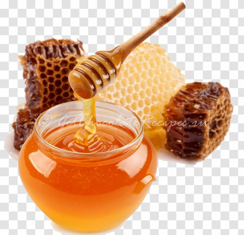 Honey Bee Sweetness Transparent PNG