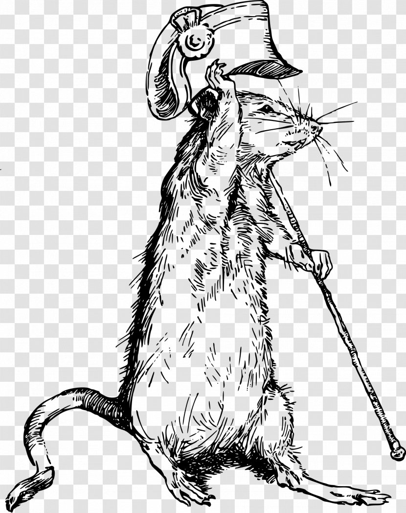 Cat Rat Mouse Mammal Rodent - Fauna Transparent PNG
