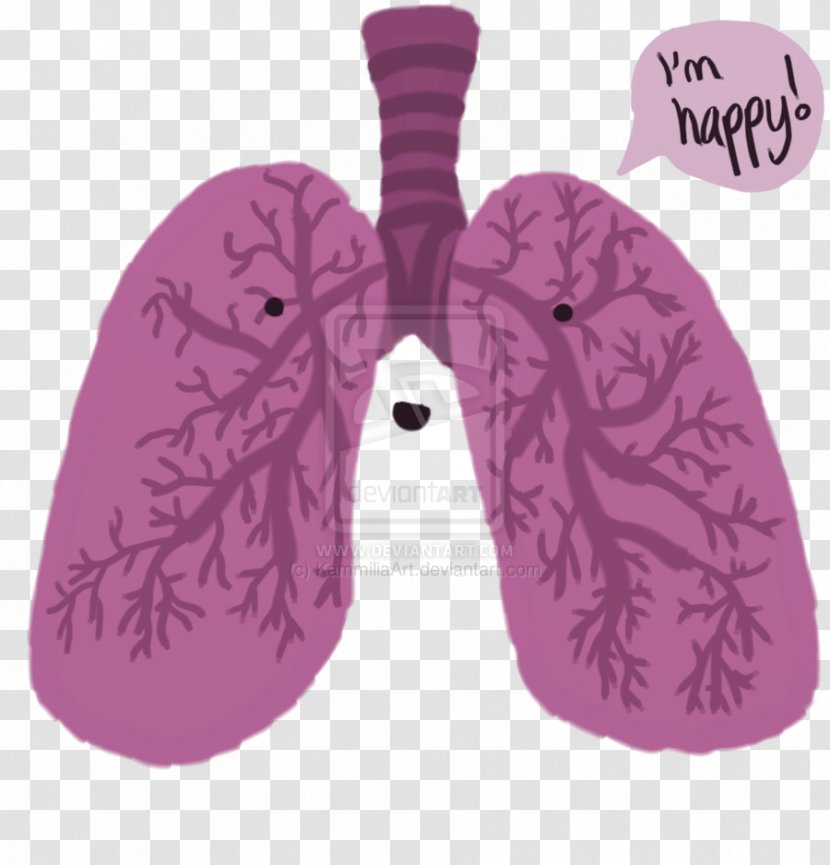 Lung Happiness Heart Breathing - Cartoon - Creative Lungs Transparent PNG