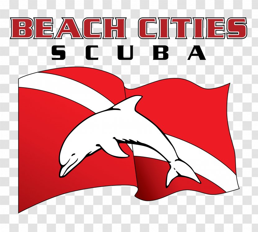 Beach Cities Scuba Aquatic Center Dana Point Diving Underwater Dive Boat - Professional Association Of Instructors Transparent PNG