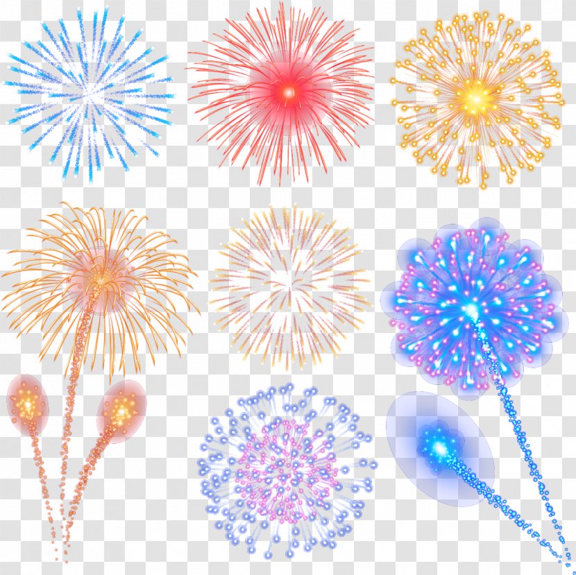 Fireworks Pyrotechnics Transparent PNG