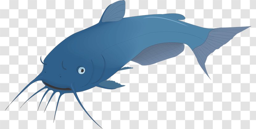 Catfish Tiger Shark Clip Art - Vertebrate - Peces Transparent PNG