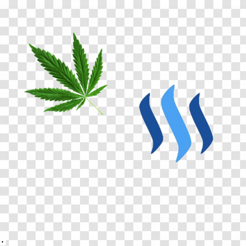 Steemit Cryptocurrency Blockchain Bitcoin Money - Coin - Weed Transparent PNG