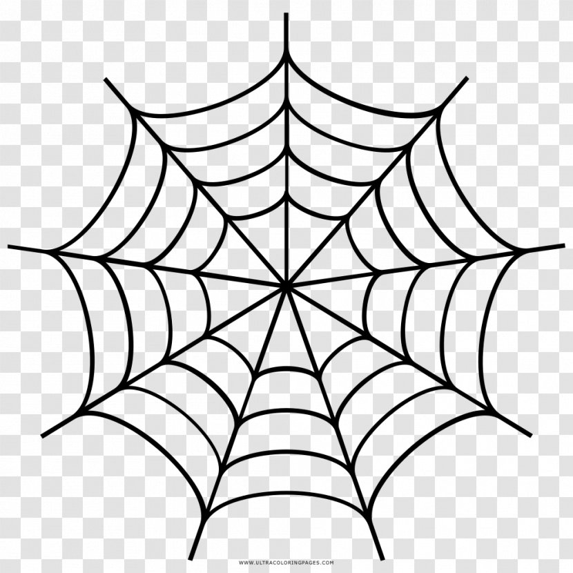 Spider Web Drawing - Point - Cobwebs Transparent PNG