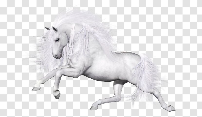 Unicorn Horse Pegasus Mane - Furniture Transparent PNG