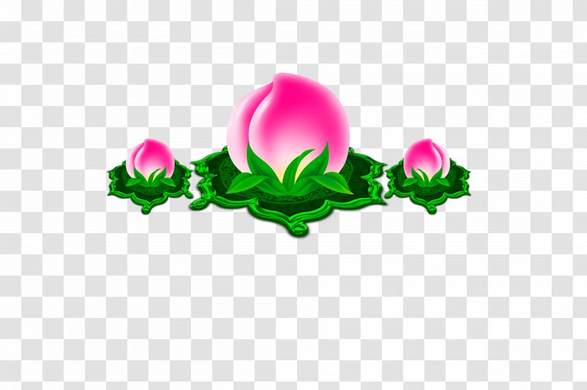 Longevity Peach Saturn Icon - St.,peach Transparent PNG