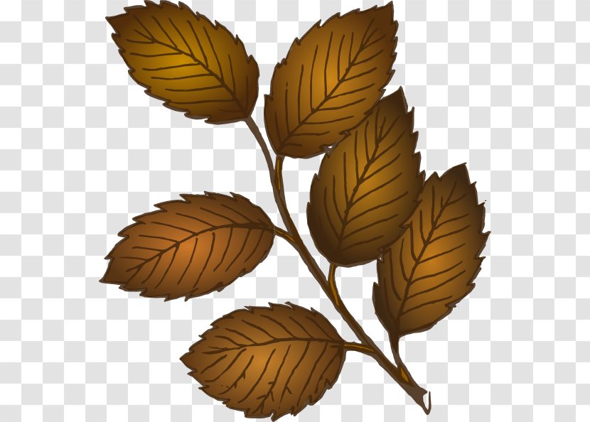 Autumn Leaf Color Clip Art - Branch Leaves Cliparts Transparent PNG