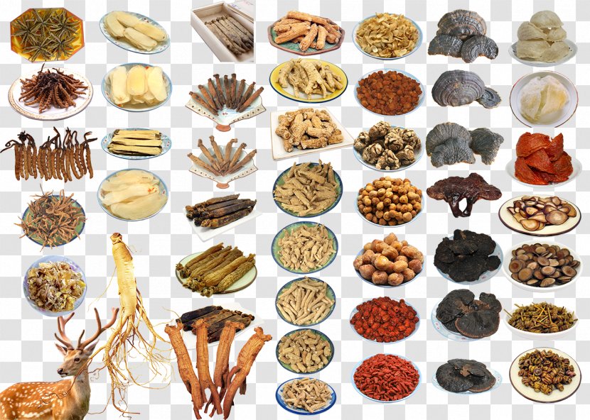 Traditional Chinese Medicine Disease Herbology Health - Price - China Transparent PNG