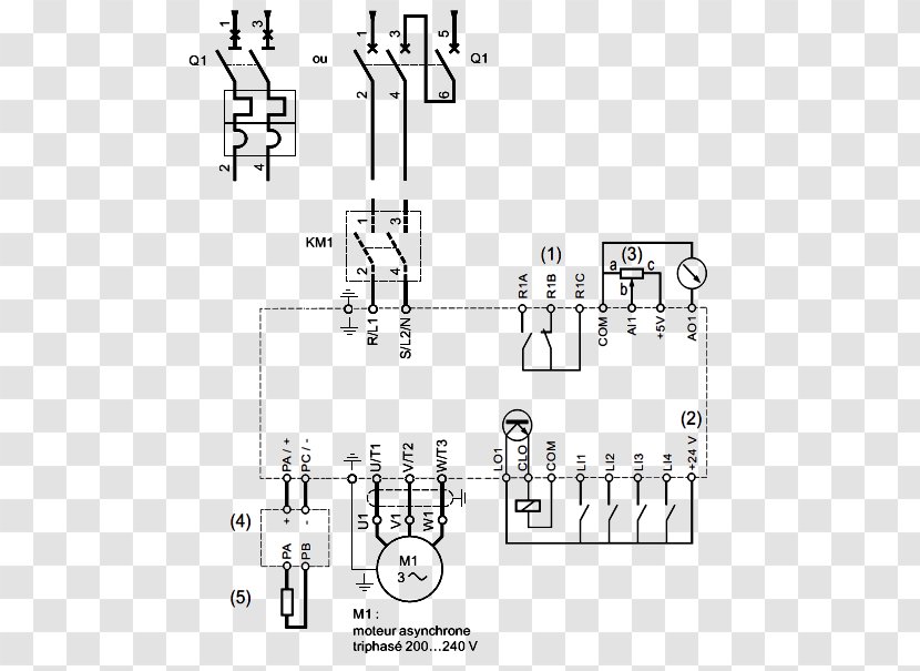 Diode Variable Frequency & Adjustable Speed Drives Circuit Diagram Three-phase Electric Power Induction Motor - Cartoon - Flower Transparent PNG