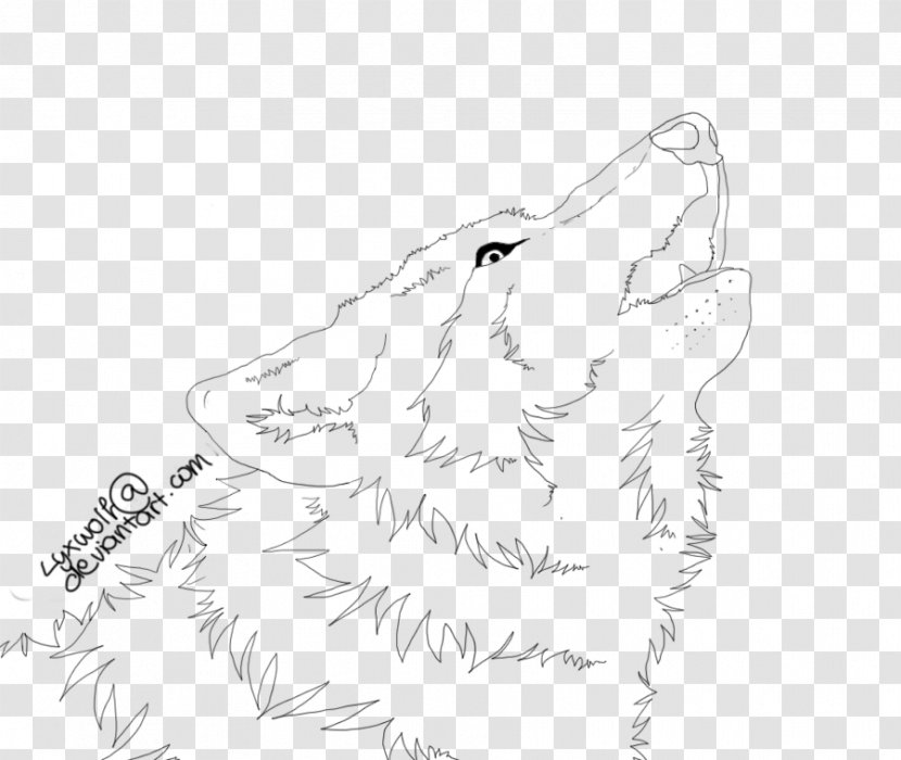 Line Art Drawing Carnivora Sketch - Beak - Erase You Transparent PNG
