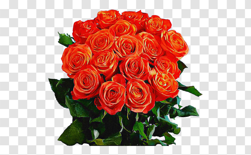 Garden Roses Transparent PNG