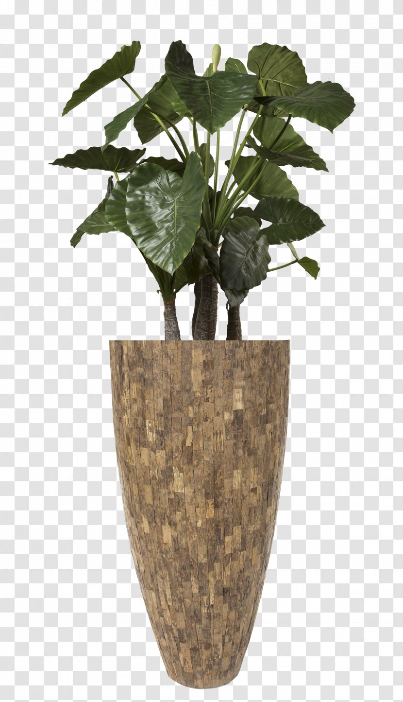 Hydrozorg Interieurbeplanting Flowerpot Vase Teak - Cylinder Transparent PNG